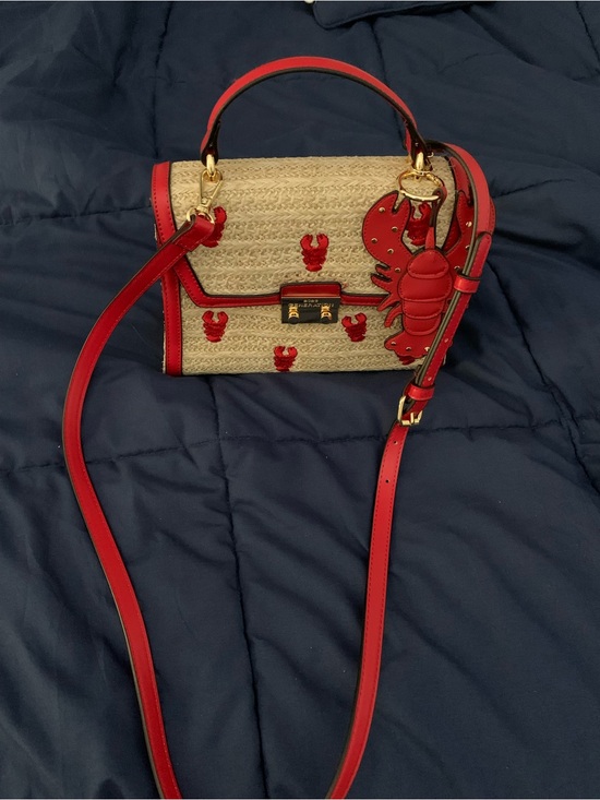 BCBGeneration Handbags - BCBGeneration Straw Satchel with Red Trim and Lobster Charm